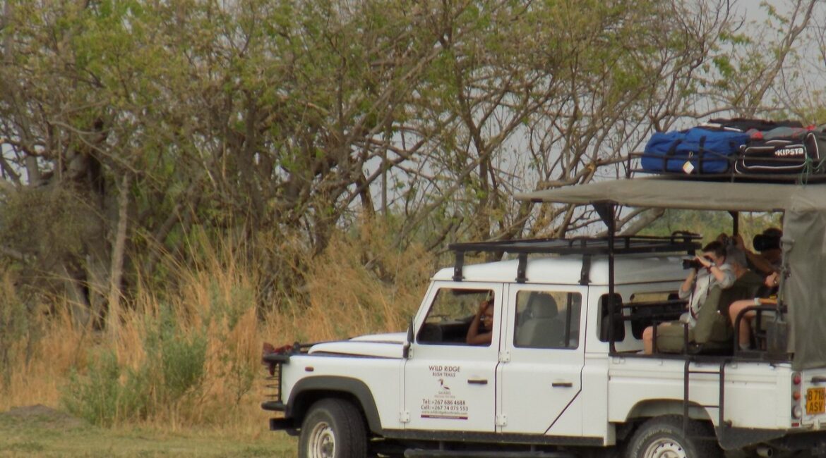Game Drive